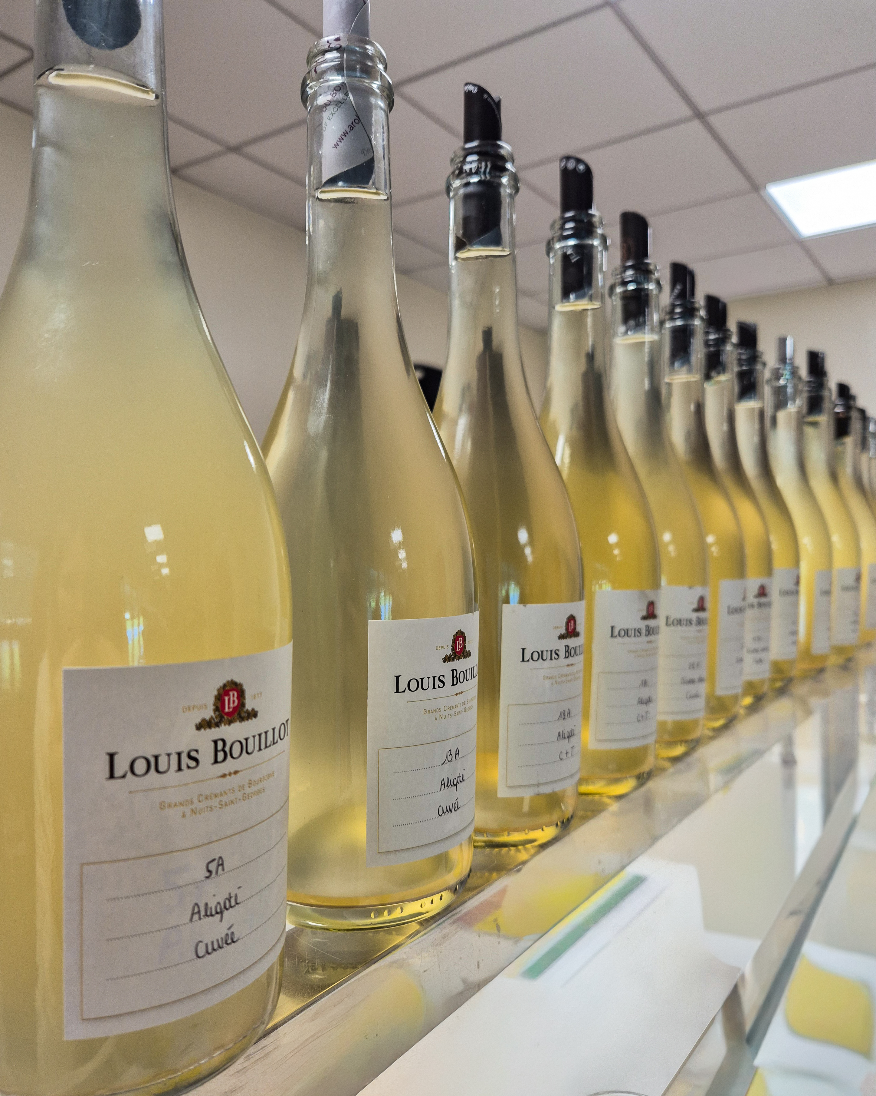 Dégustation des vins de base en comité d’assemblage