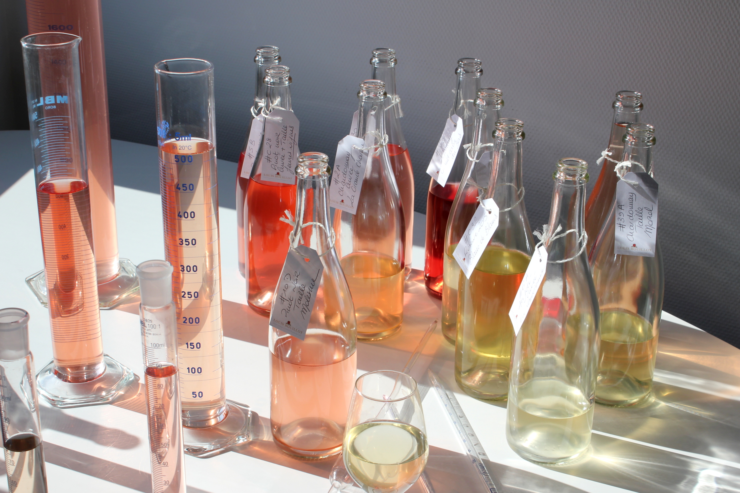 Vue d&rsquo;ensemble de la salle de d&eacute;gustation durant les assemblages